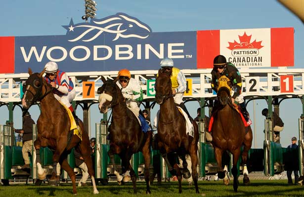 woodbine thoroughbred racing