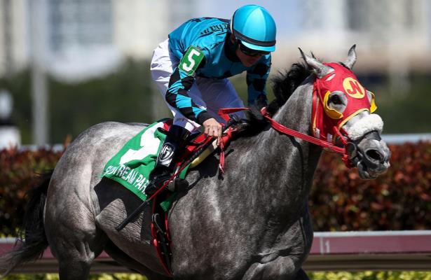 X_Y_Jet_horse_615x400_1_orig.jpg