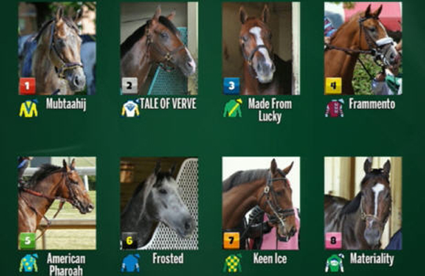 American Pharoah 3-5 Favorite in Belmont Stakes - Horse Racing Nation