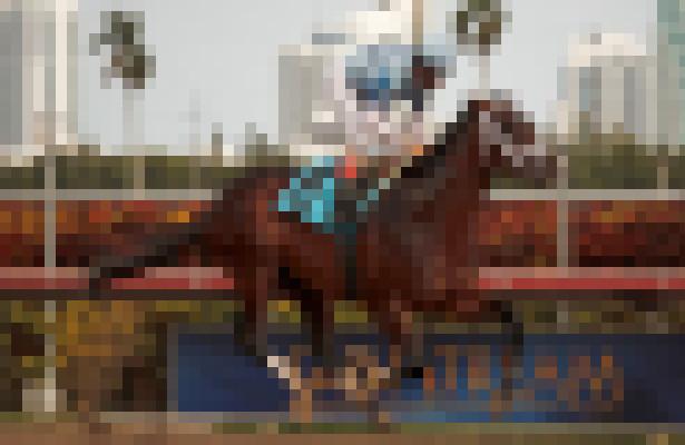 Where to bet on the kentucky derby in michigan