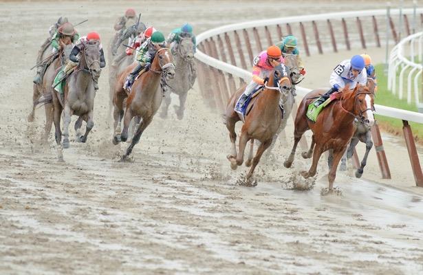 woodbine thoroughbred results today
